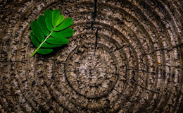 De basis van je onderneming